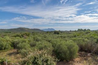 Voilier 28 by DomusAway - 1