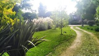 Brasitas - Casa en Mar de las Pampas - 8