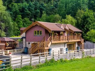 Maple - Uk46284 - Camerton - 1