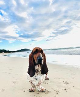 Walk to beach, quiet location - 2 night minimum stay - Mollymook - 9