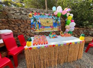 El campo en Jarabacoa - Jarabacoa - 7