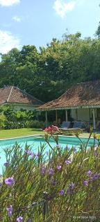 Blue Garden Yogyakarta - 6