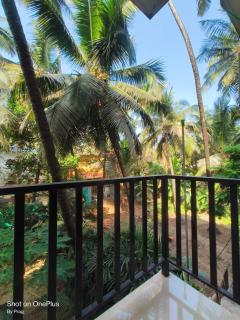 Sabinas Goa - Saligao - 7