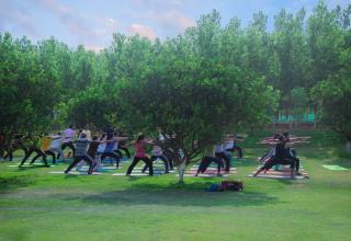 Solis Wellness Retreat - 6