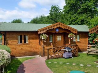 Magnolia Lodge-Uk46280 - Camerton - 8