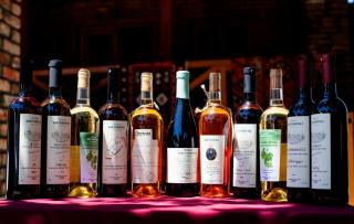 Brothers khutsishvili wine cellar - Kisiskhevi - 5