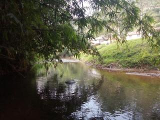River View Guest Rooms - Vythiri - 1