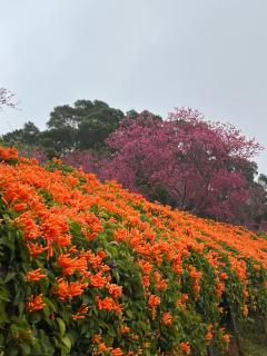 Tong Xin Farmstay - 8