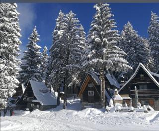 Apartments Cosic - Vlasic - 8