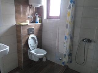 Apartmani Zora - Veliko Gradište - 1