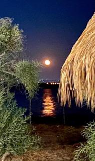 Hotel Aria di Mare - Marina di Ragusa - 5