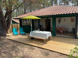 Maison au calme sous les pins - Moliets-et-Maa - 9