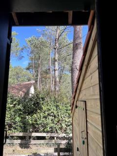 Maison au calme sous les pins - Moliets-et-Maa - 7