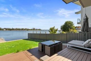 The Black Pelican on Lake Mulwala - Yarrawonga - 9
