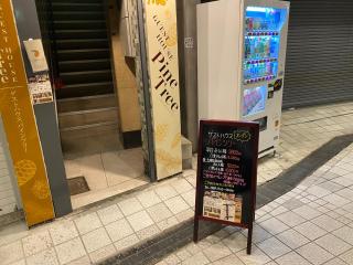 パインツリー - Matsuyama - 7