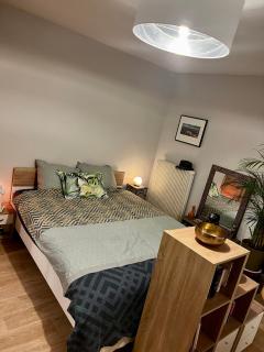 Appartement cosy avec parking, au pied du métro - Caluire-et-Cuire - 5