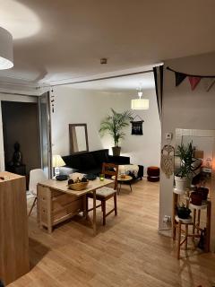 Appartement cosy avec parking, au pied du métro - Caluire-et-Cuire - 1