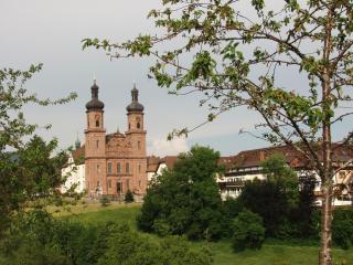 Hotel Hirschen - Sankt Peter - 8