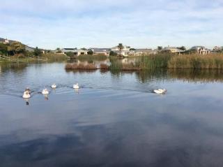 Little Lake Haven - Città del Capo - 7