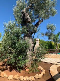 Villetta Mari con piscina esclusiva nel Salento - 5