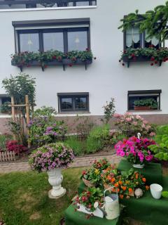 Ferienwohnung"Harzliebe" - 3