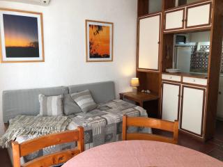 PUNTA DEL ESTE * Funcional y Acogedor Apto. en la Península * 1 Dorm 3 Pers. A 150 mts. del puerto deportivo, 2 cuadras de Gorlero, 10min de la Terminal de Buses. - Punta del Este - 4