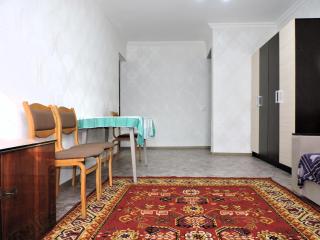 NBG Flat - Almaty - 4