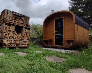 FaFeWo Ferienwohnungen mit Sternekomfort in Tanne Harz - Tanne - 8
