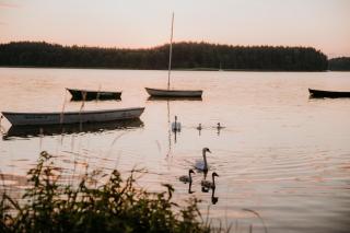 Wypoczywanko Domek 43, 45 - 6