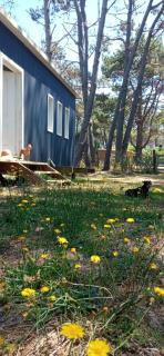 Casa La Paloma - Playa La Serena 5p. - 3