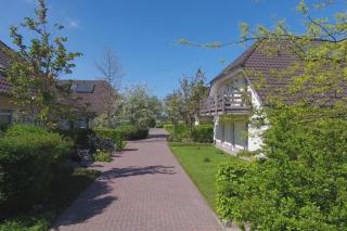 4 Sterne Apartment Steilufer mit Terrasse und Sauna in Südwestlage - Lobbe - 5