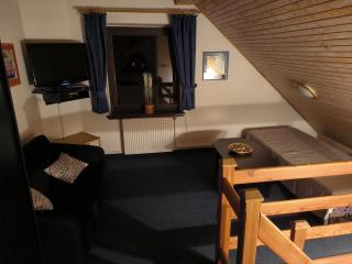 Apartmány Nový Svět 548 - 1