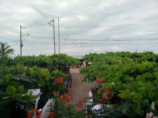 Canoamar - Canoa - 5