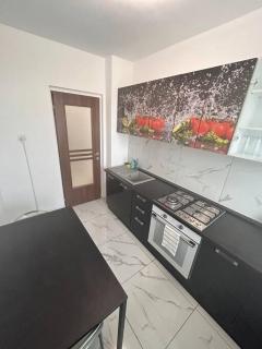 Apartament 2 camere Sector 1 - Bucharest - 1