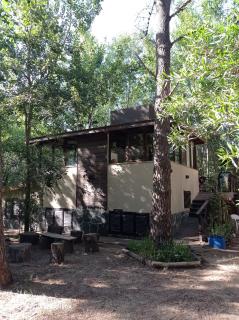 Complejo Valhalla 6 - 0