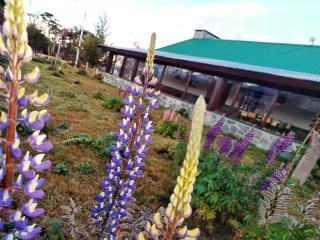 CASA WAIA ULU - Ushuaia - 7