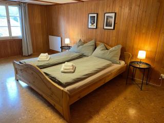 Gemütliche Wohnung mit traditionellem Trittofen - Innertkirchen - 8