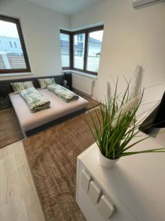 VRG 1 Exkluzív Apartman - Debrecen - 1