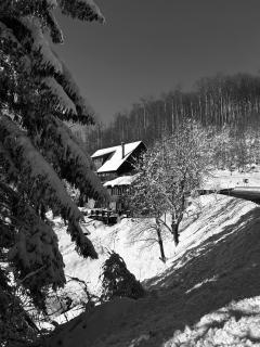 Kuća za odmor “Dobra” - Skrad, Gorski kotar - Skrad - 1