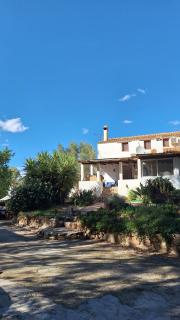 Finca el Agua da Vida (Los Eucaliptos & Los Olivos) - Comares - 9