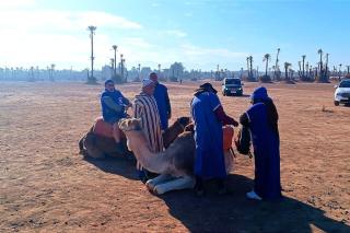 Oasis appart sérénité - 6