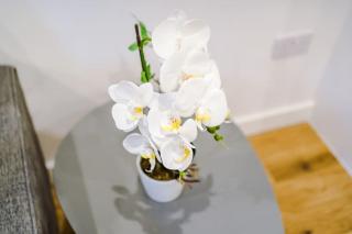 Royal Suite, Sleeps 4, High-Speed Wi-Fi & Luxury Comfort, Perfect for Extended Stays - 5