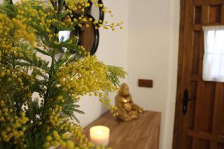 Alojamiento turistico LaVid - Requena - 0