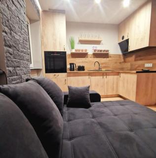 Rynek 23 LUX, apartament z widokiem na ratusz Starego Miasta - Gliwice - 7