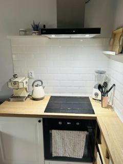 Komfortowy apartament Krokusowa - 1