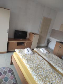 Shenk's apartment - Ohrid - 0