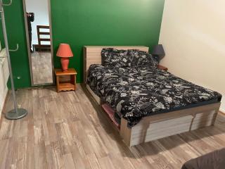 Appartement Duplex T1 - Albertville - 1