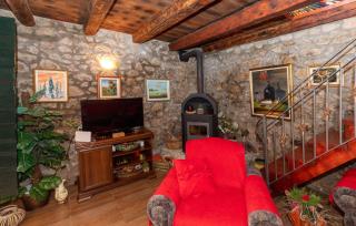 Rural house Janjić - Ploče - 6