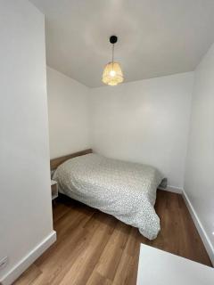Bel appartement dans l’hyper centre de Nantes - Nantes - 5