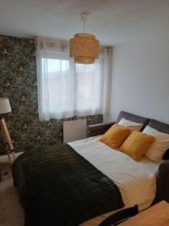 Charmant T2 Rénové+Parking privé - Aucamville - 8
